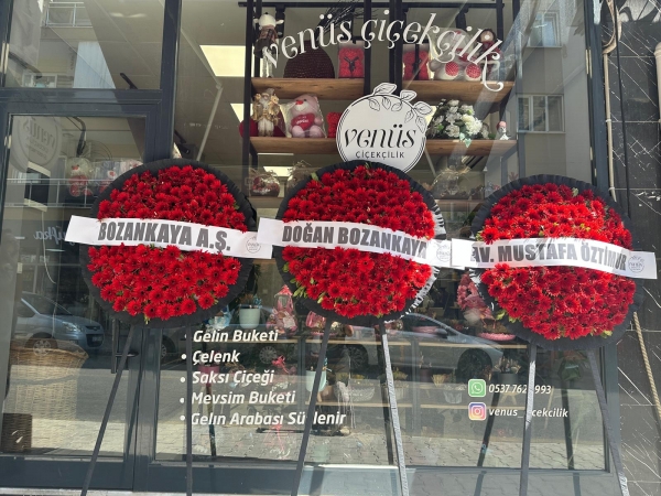Ceneze Çelengi Canlı