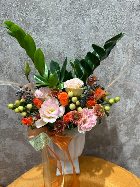 Zamia Çiçeği