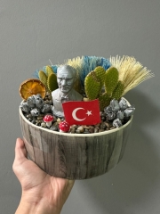 Seramik Saksıda Teraryum