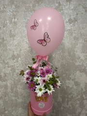 Balonlu Kutu