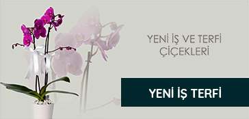 Öneçıkan Ürün